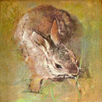 117 Rabbits:  natürlich - 3-ply - Home Fashion